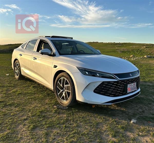 بي واي دي Qin Plus 2025 للبيع في العراق - بيرمام (صلاح الدين)